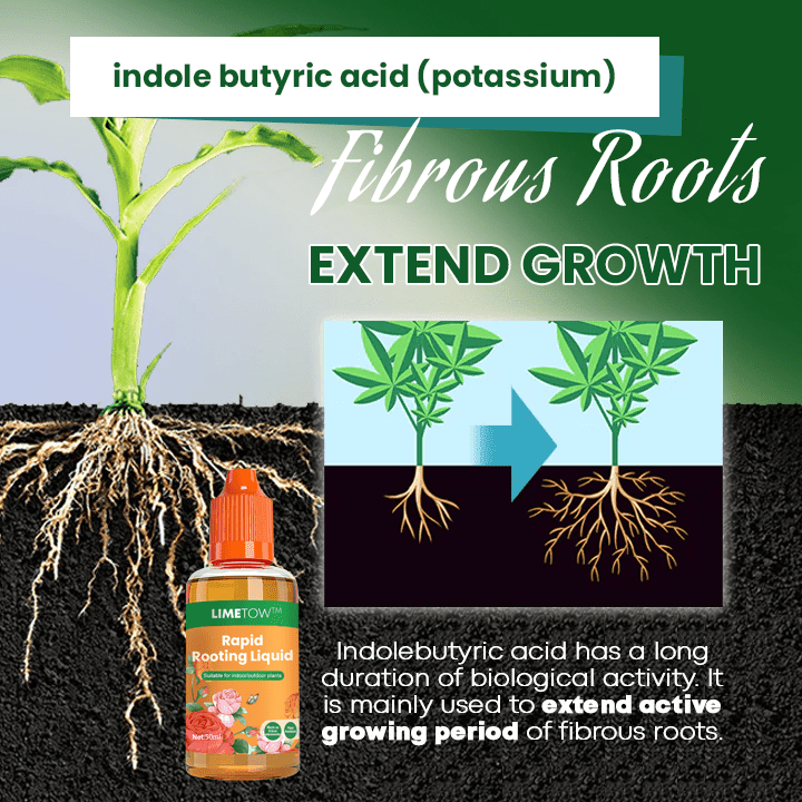 LIMETOW™ Rapid Rooting Liquid (1+1 Free) - Evesbury