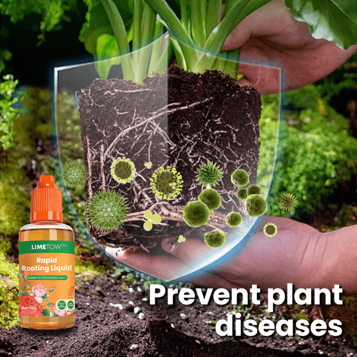 LIMETOW™ Rapid Rooting Liquid (1+1 Free) - Evesbury