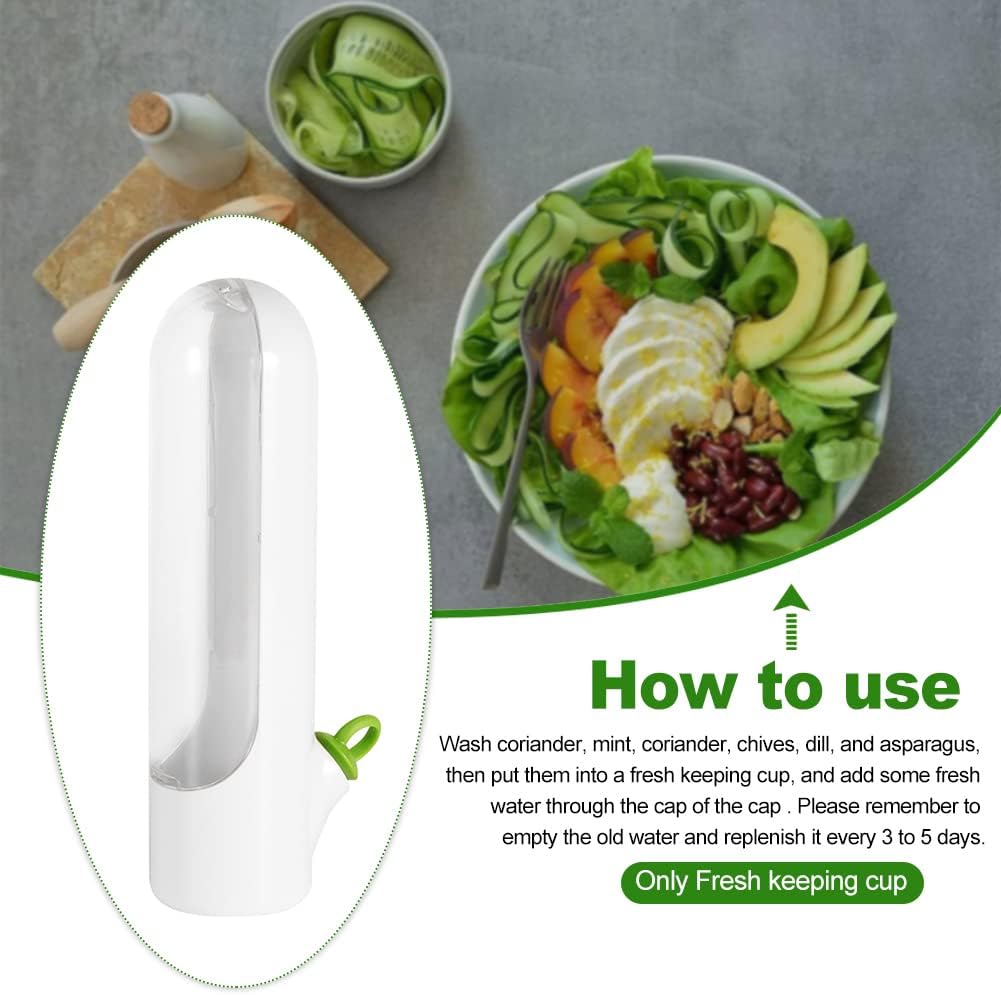 HerbLock™ - Fresh-Keeping Veggie & Herb Containers (1+1 Free)
