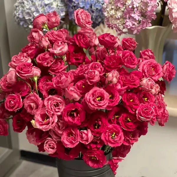 Florenza™ - Eustoma Thornless Rose Seeds for Vibrant Blooms in 12 Days (50% Off) - Evesbury
