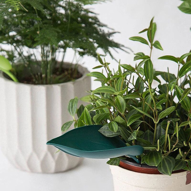 Florenza™ - 6 Leaf Funnels for Mess Free Plant Watering