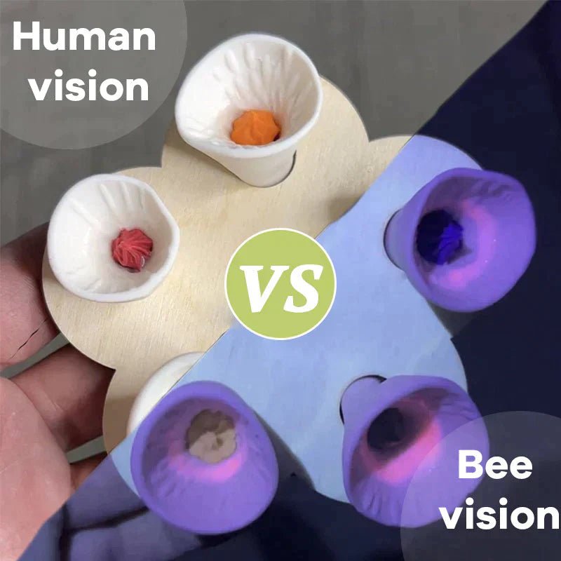 Florenza™ - Drinking Cups To Attract & Nourish Bees (40% Off) - Evesbury