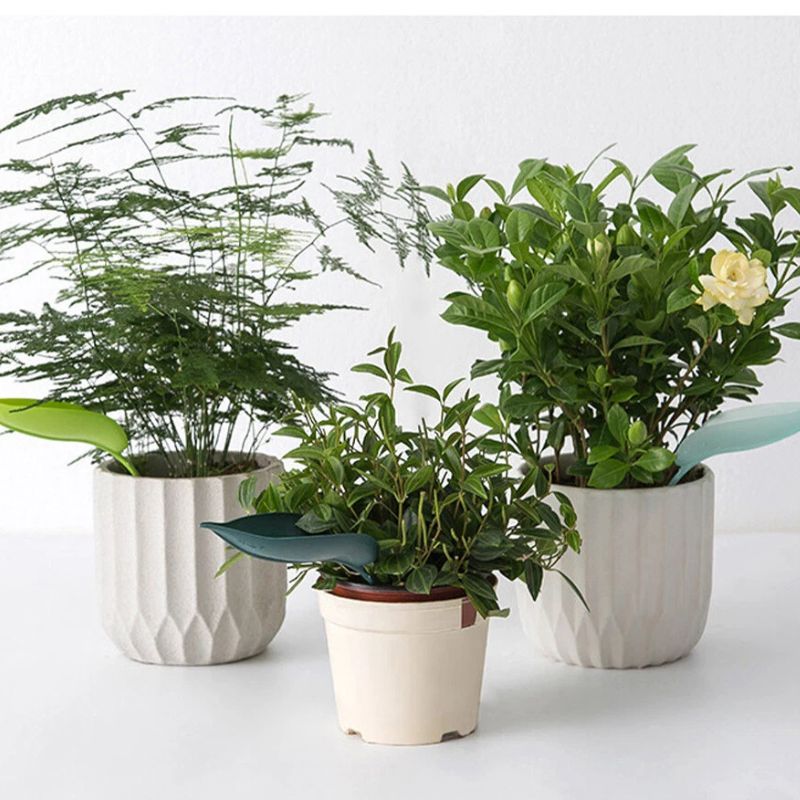 Florenza™ - 6 Leaf Funnels for Mess Free Plant Watering