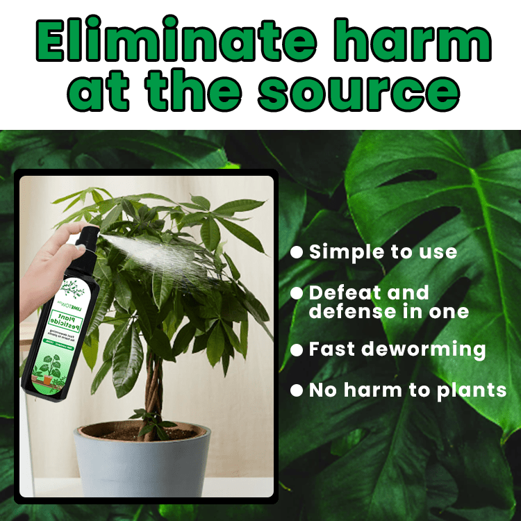 LIMETOW™ - Plant Pesticide (1+1 Free) - Evesbury