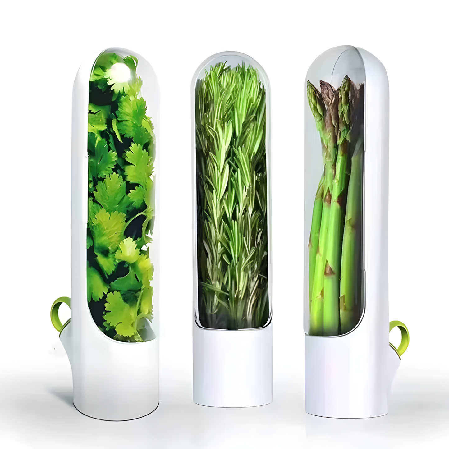 HerbLock™ - Fresh-Keeping Veggie & Herb Containers (1+1 Free)