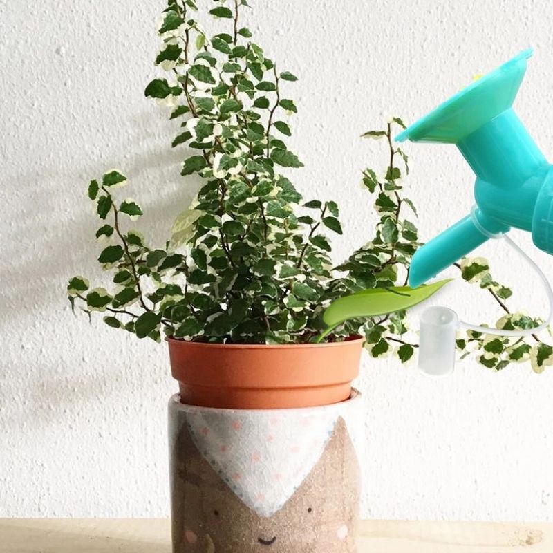 Florenza™ - 6 Leaf Funnels for Mess Free Plant Watering