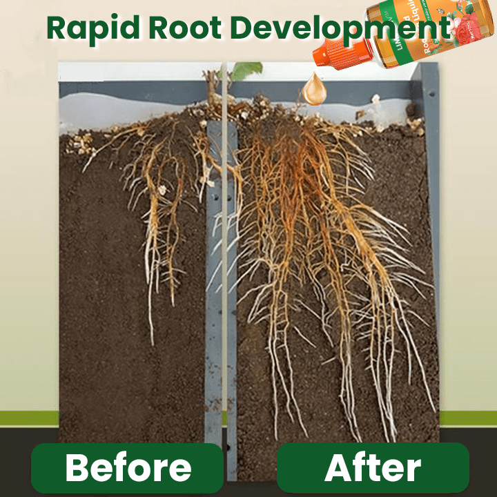 LIMETOW™ Rapid Rooting Liquid (1+1 Free) - Evesbury