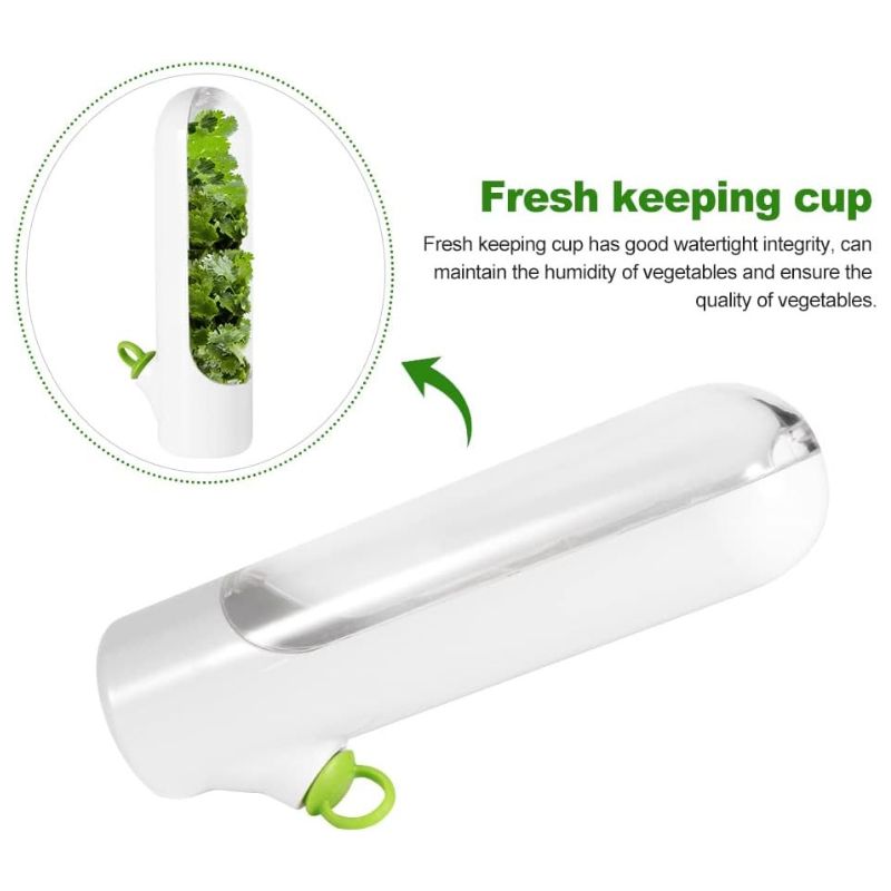 HerbLock™ - Fresh-Keeping Veggie & Herb Containers (1+1 Free)