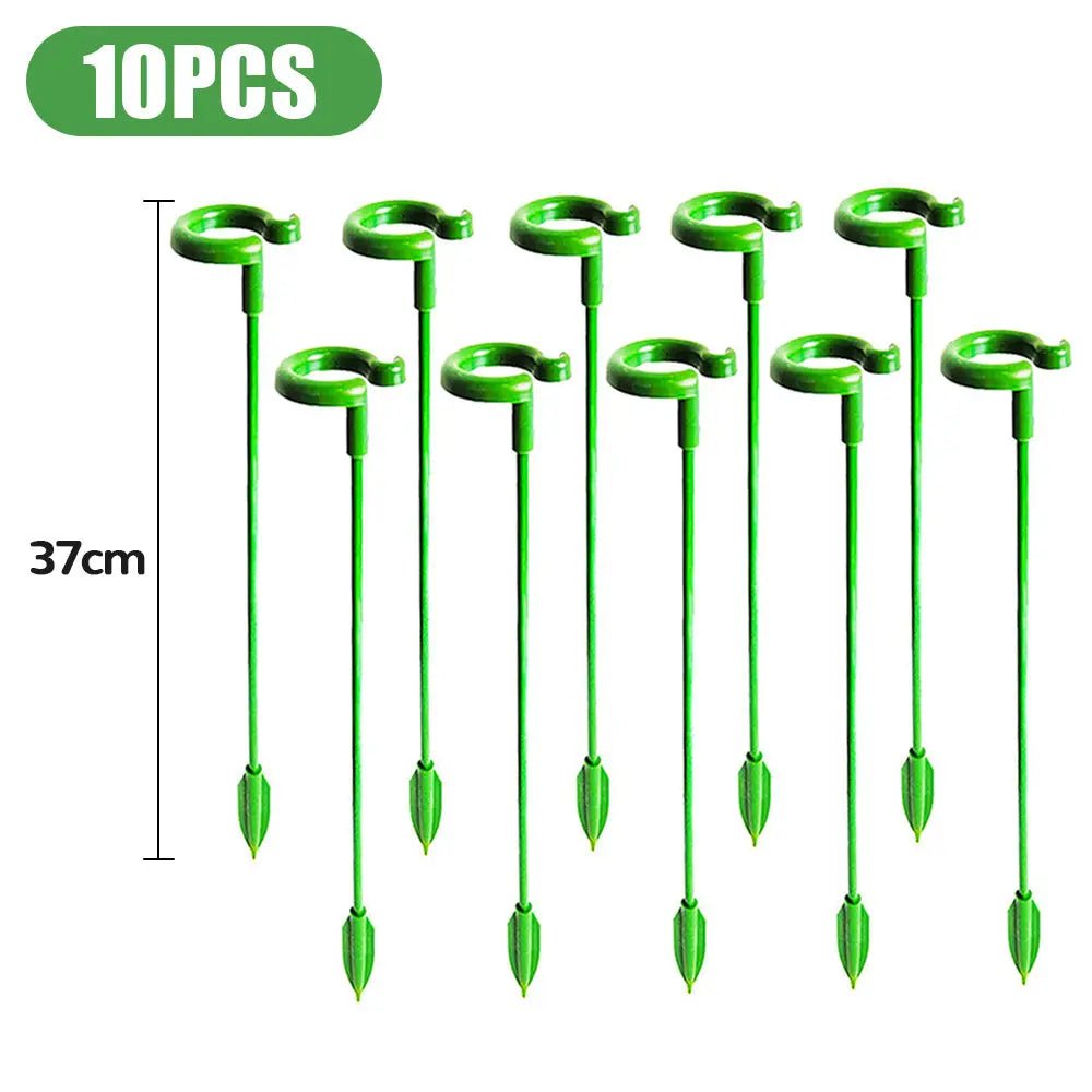 Evergrow™ - Plant Support Stakes for Healthy Growth (5+5 Free) - Evesbury