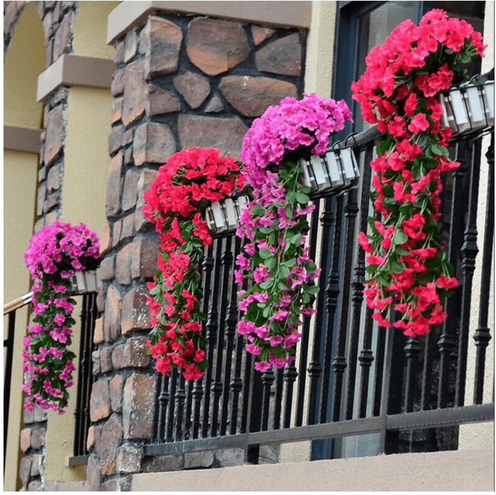 Florenza™ - Floating Orchid Displays for an Elegant Home (1+1 Free) - Evesbury