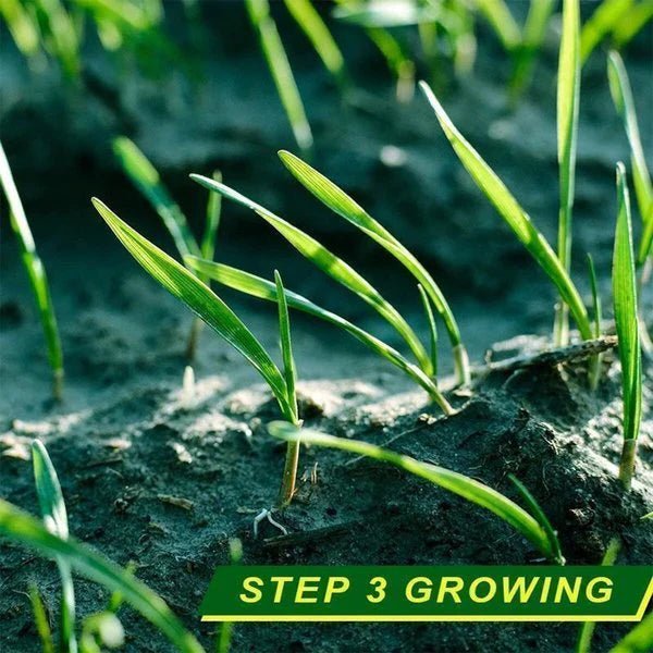 Greendex™ - Biodegradable Grass Seed Mat (1+1 Free) - Evesbury