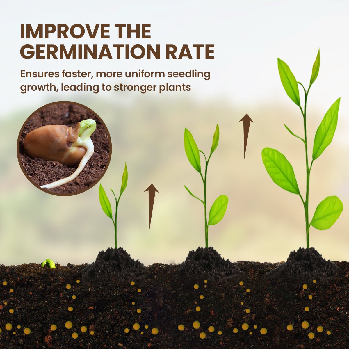 KISSHI™ - Soil Pro Activator (1+1 Free) - Evesbury