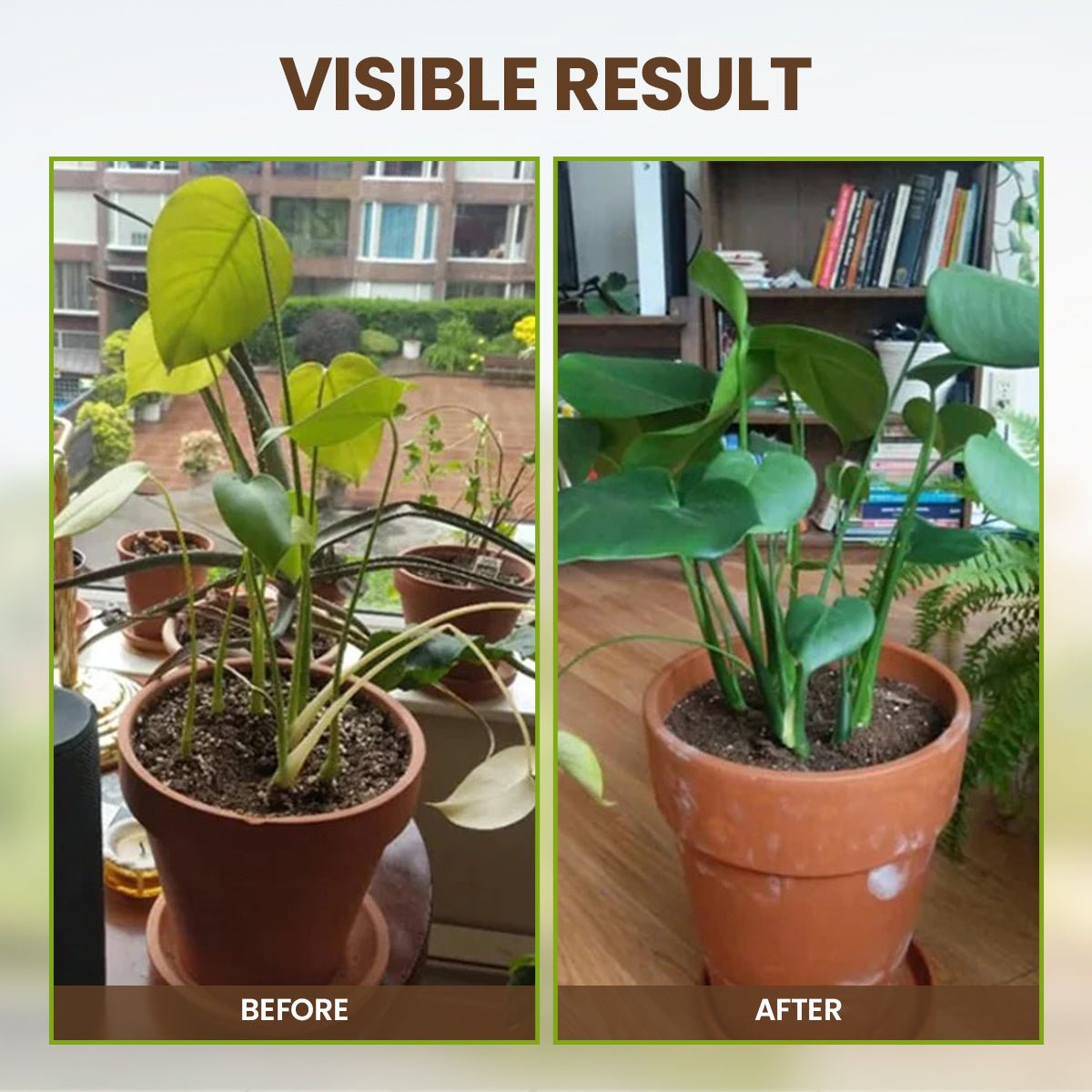 KISSHI™ - Soil Pro Activator (1+1 Free) - Evesbury