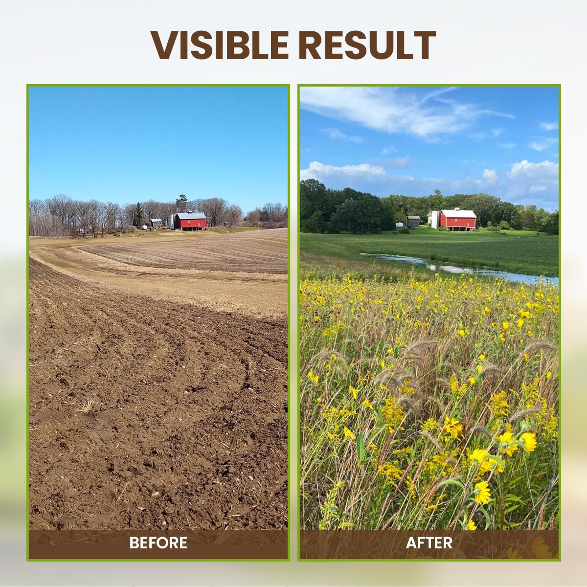 KISSHI™ - Soil Pro Activator (1+1 Free) - Evesbury