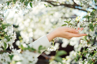 The power of scent: how to pick the perfect spring fragrance for your home