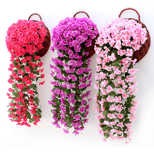 Florenza™ - Floating Orchid Displays for an Elegant Home (1+1 Free) - Evesbury