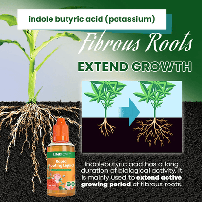 LIMETOW™ Rapid Rooting Liquid (1+1 Free) - Evesbury