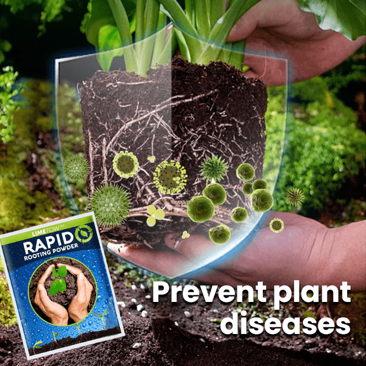 LIMETOW™ Rapid Rooting Powder (1+1 Free) - Evesbury