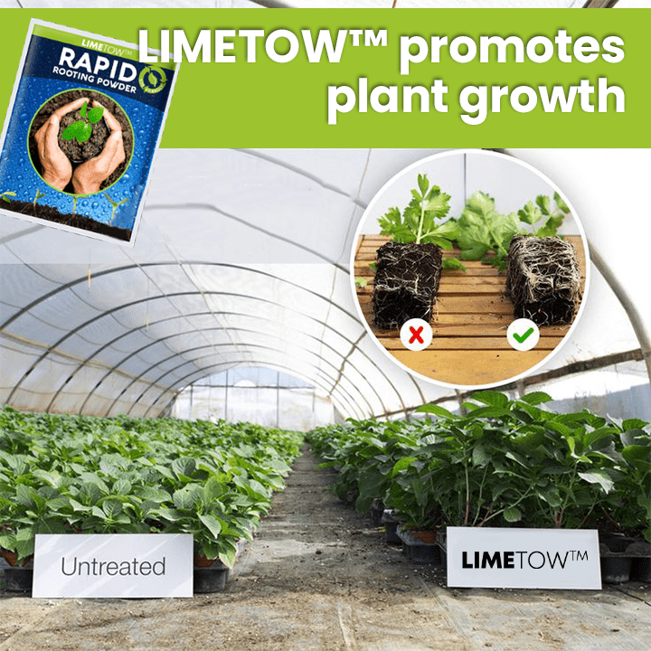 LIMETOW™ Rapid Rooting Powder (1+1 Free) - Evesbury