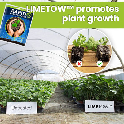 LIMETOW™ Rapid Rooting Powder (1+1 Free)