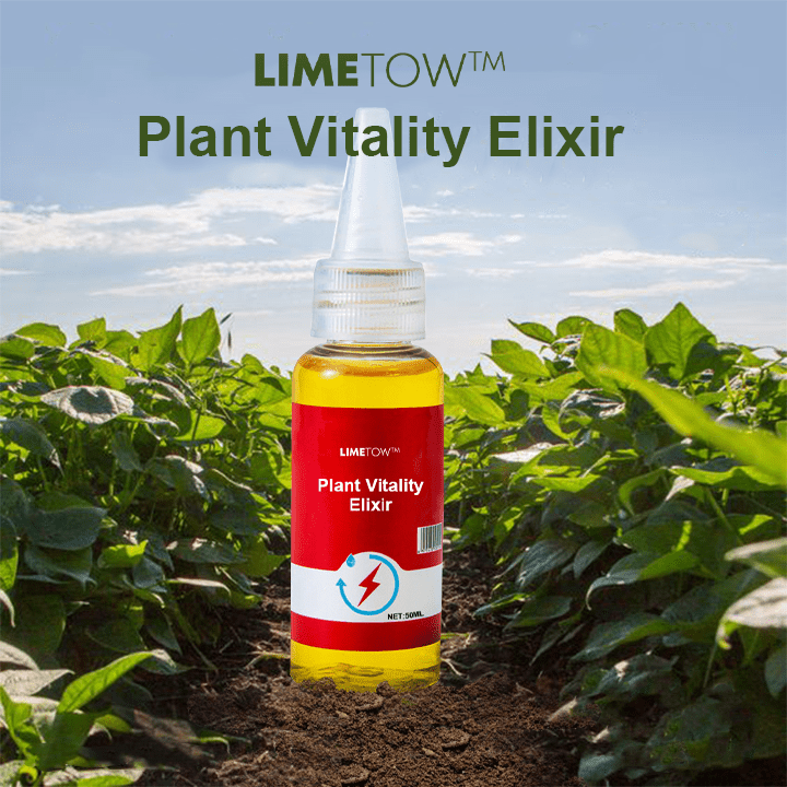 LIMETOW™ - Phytovitamin Solution (2+1 Free) - Evesbury