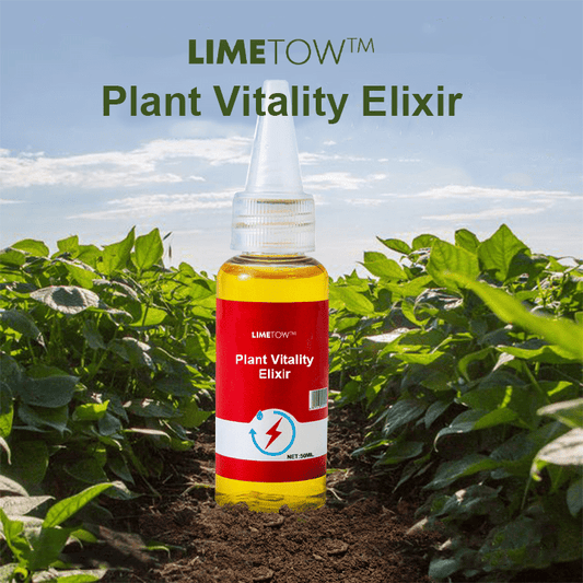 LIMETOW™ - Phytovitamin Solution (2+1 Free) - Evesbury