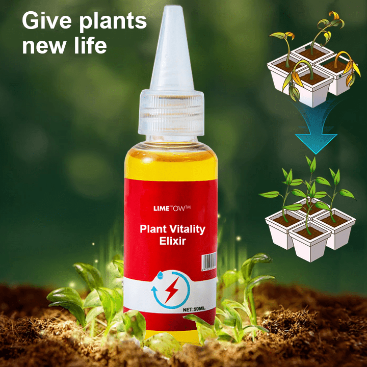 LIMETOW™ - Phytovitamin Solution (2+1 Free) - Evesbury