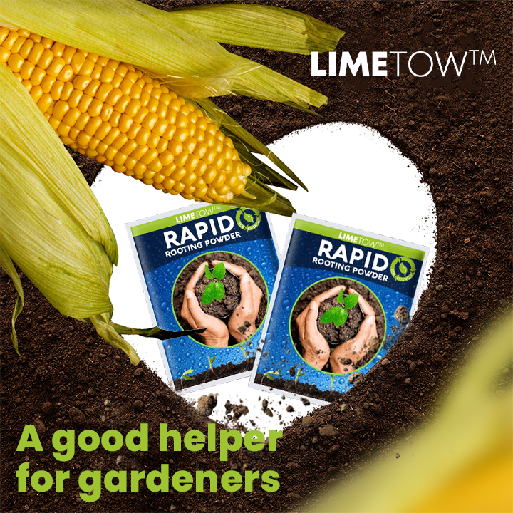 LIMETOW™ Rapid Rooting Powder (1+1 Free)