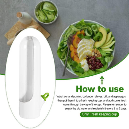 HerbLock™ - Fresh-Keeping Veggie & Herb Containers (1+1 Free)