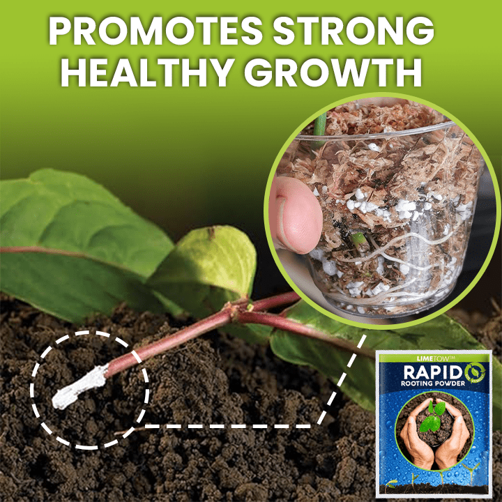 LIMETOW™ Rapid Rooting Powder (1+1 Free) - Evesbury