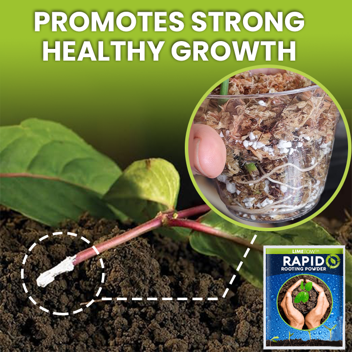 LIMETOW™ Rapid Rooting Powder (1+1 Free)