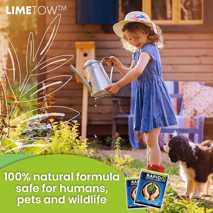 LIMETOW™ Rapid Rooting Powder (1+1 Free) - Evesbury