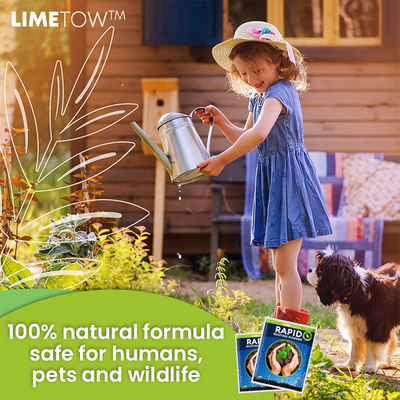 LIMETOW™ Rapid Rooting Powder (1+1 Free)