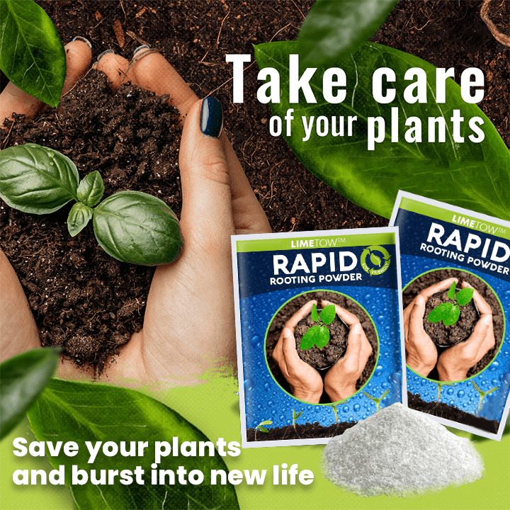 LIMETOW™ Rapid Rooting Powder (1+1 Free) - Evesbury