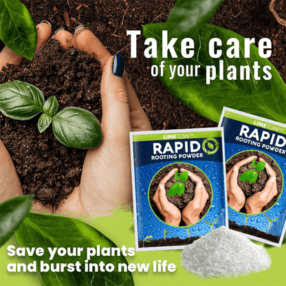 LIMETOW™ Rapid Rooting Powder (1+1 Free) - Evesbury