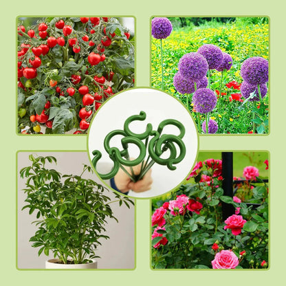 Evergrow™ - Plant Support Stakes for Healthy Growth (5+5 Free) - Evesbury