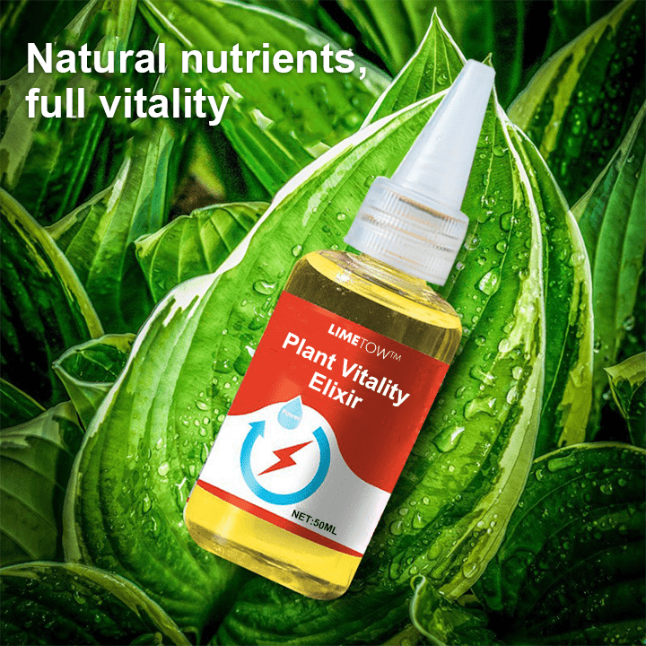 LIMETOW™ - Phytovitamin Solution (2+1 Free) - Evesbury