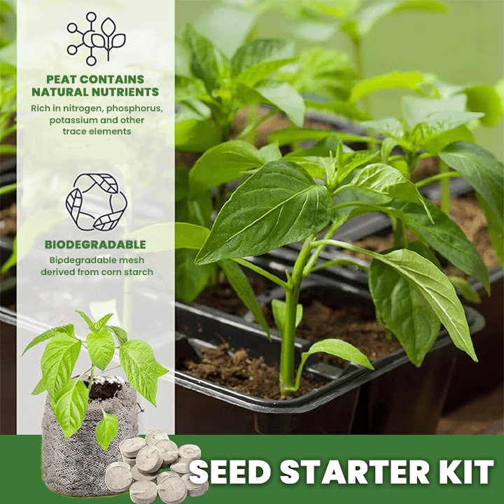 LIMETOW™ - Seed Starter Kit - Evesbury