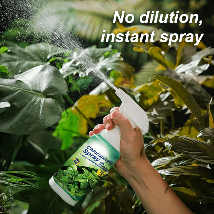 KISSHI™ - Chlorophyll Spray ACE 2 (1+1 Free) - Evesbury
