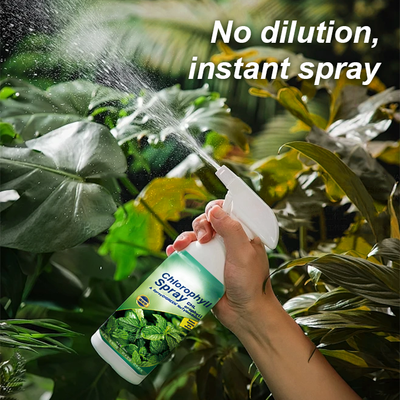 KISSHI™ - Chlorophyll Spray ACE 2 (1+1 Free)