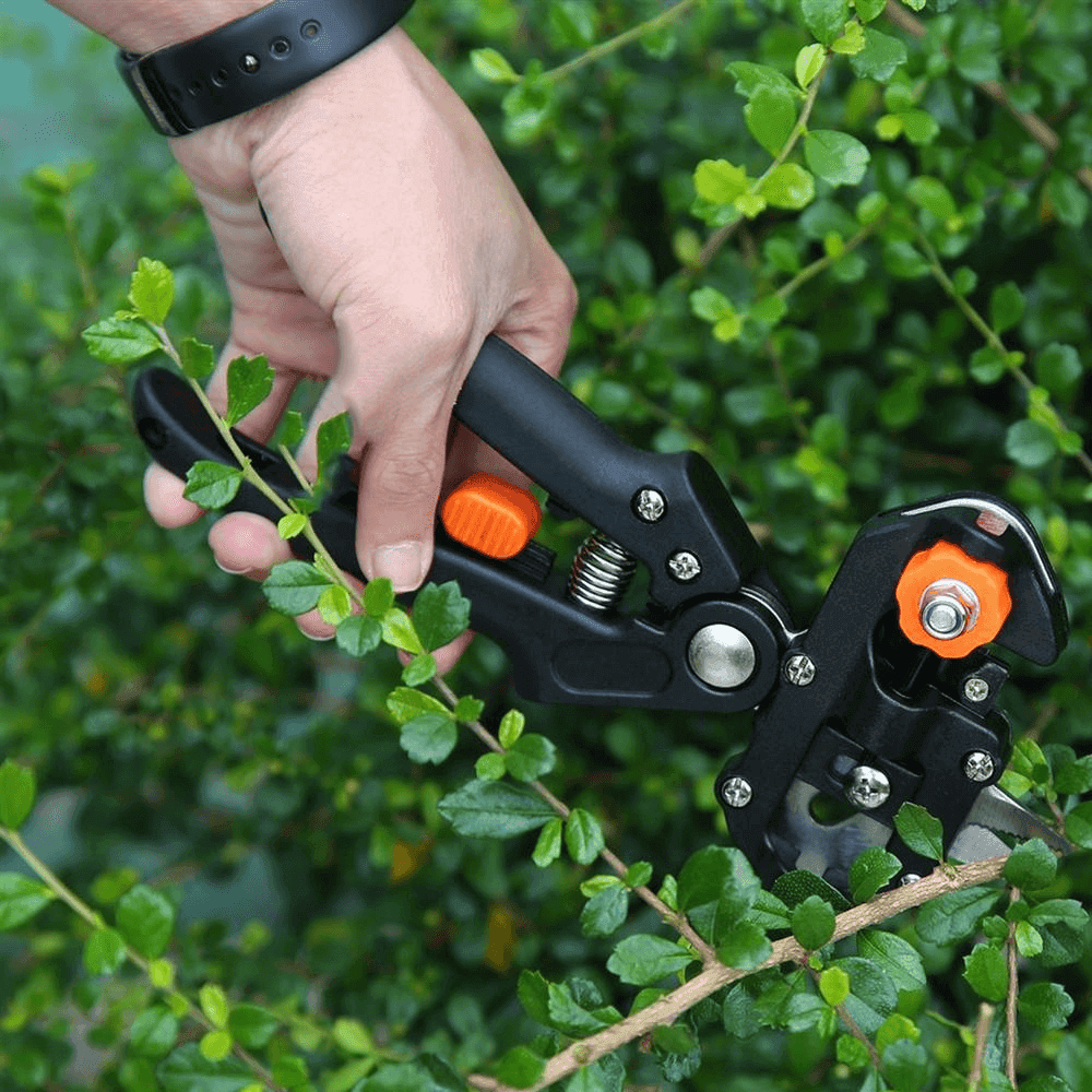 Hortex™ - Precision Grafting Tool for Clean Cuts (40% Off) - Evesbury