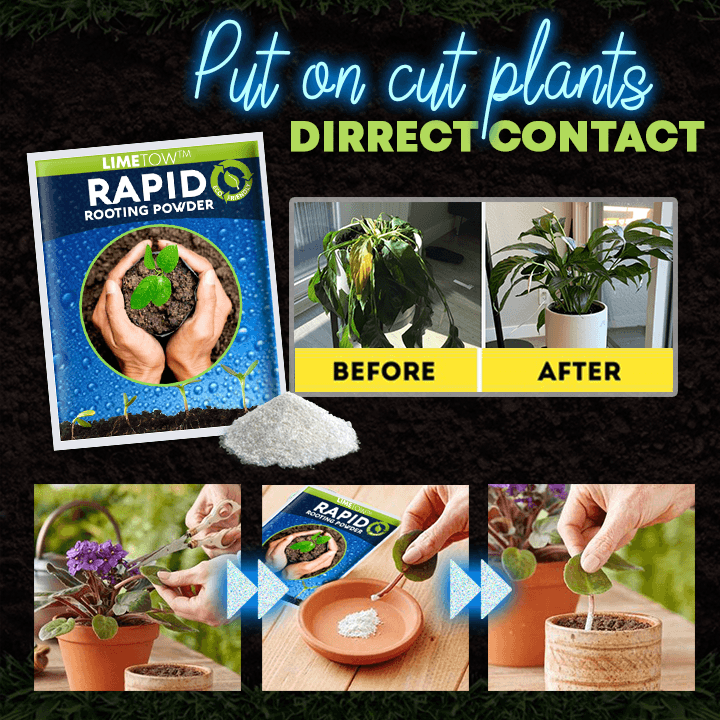 LIMETOW™ Rapid Rooting Powder (1+1 Free) - Evesbury