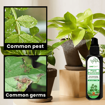 LIMETOW™ - Plant Pesticide (1+1 Free) - Evesbury