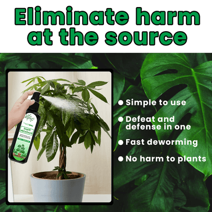 LIMETOW™ - Plant Pesticide (1+1 Free) - Evesbury