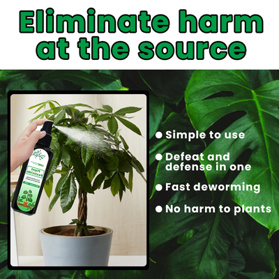 LIMETOW™ -  Plant Pesticide (1+1 Free)