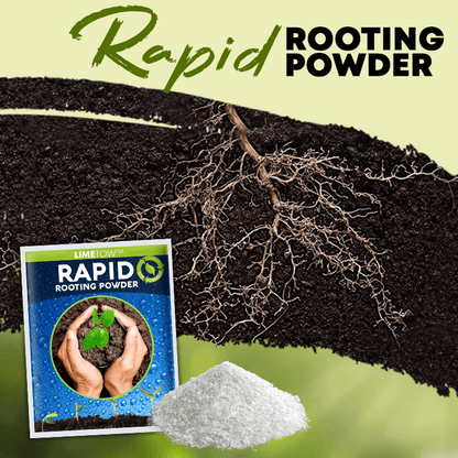 LIMETOW™ Rapid Rooting Powder (1+1 Free) - Evesbury