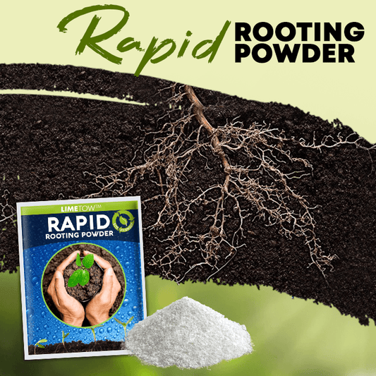 LIMETOW™ Rapid Rooting Powder (1+1 Free) - Evesbury