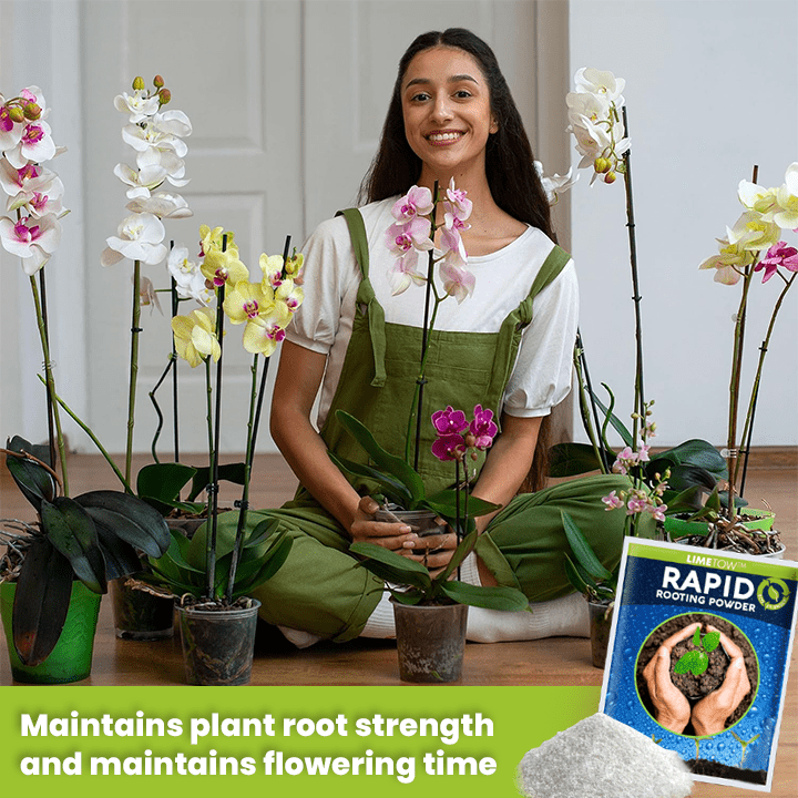 LIMETOW™ Rapid Rooting Powder (1+1 Free) - Evesbury