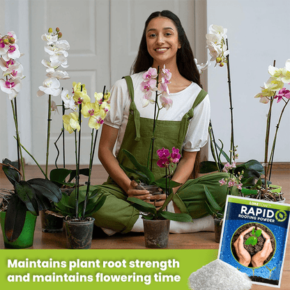 LIMETOW™ Rapid Rooting Powder (1+1 Free) - Evesbury