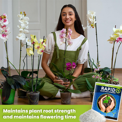 LIMETOW™ Rapid Rooting Powder (1+1 Free)